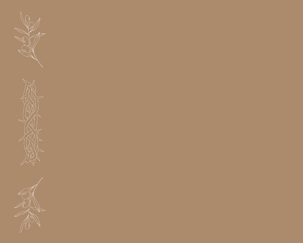 Apple Illustration Desktop Wallpaper (1)_edited.jpg