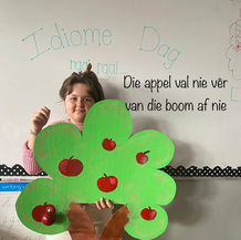 Graad 3 idiome (10).jpeg