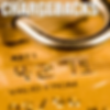 Chargebacks Course