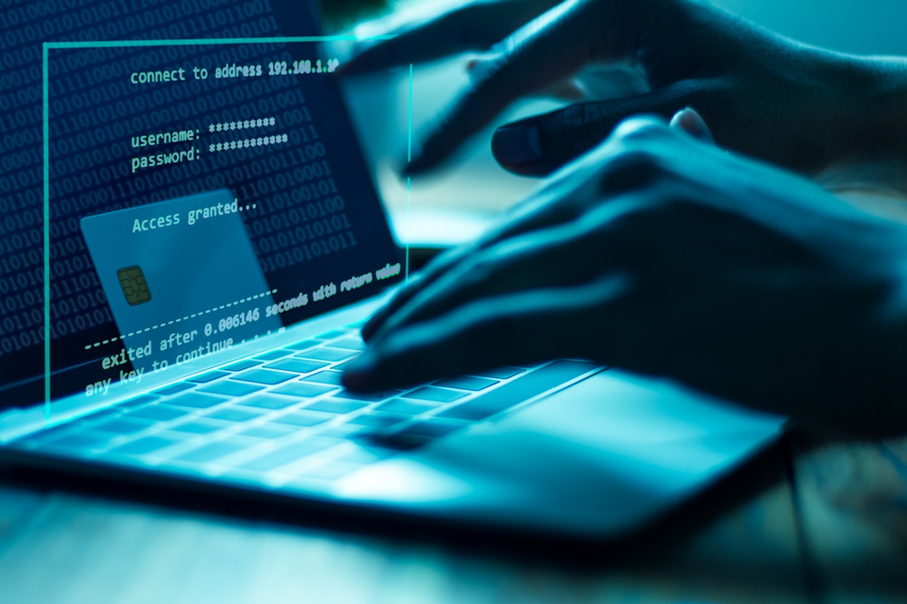 Assessing Payment Fraud Prevention Strategies Using Internal and External Approaches