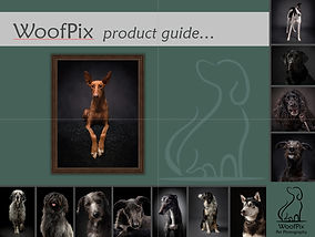 WoofPix wall art Product Guide brochure front page