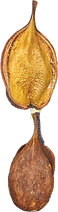20260212_002148.png