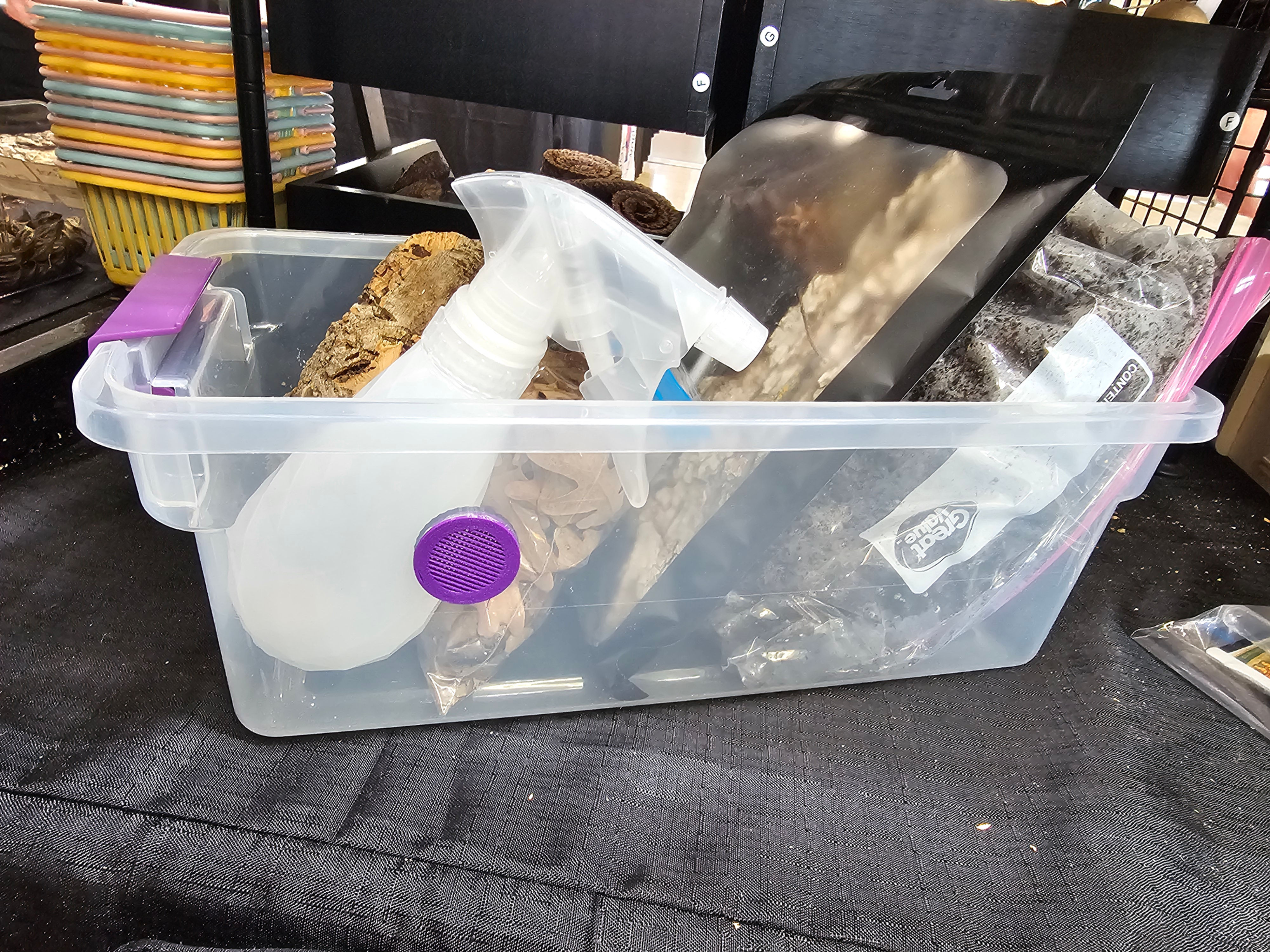StarterHaus Isopod Starter Kit