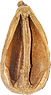 20260212_001034.png