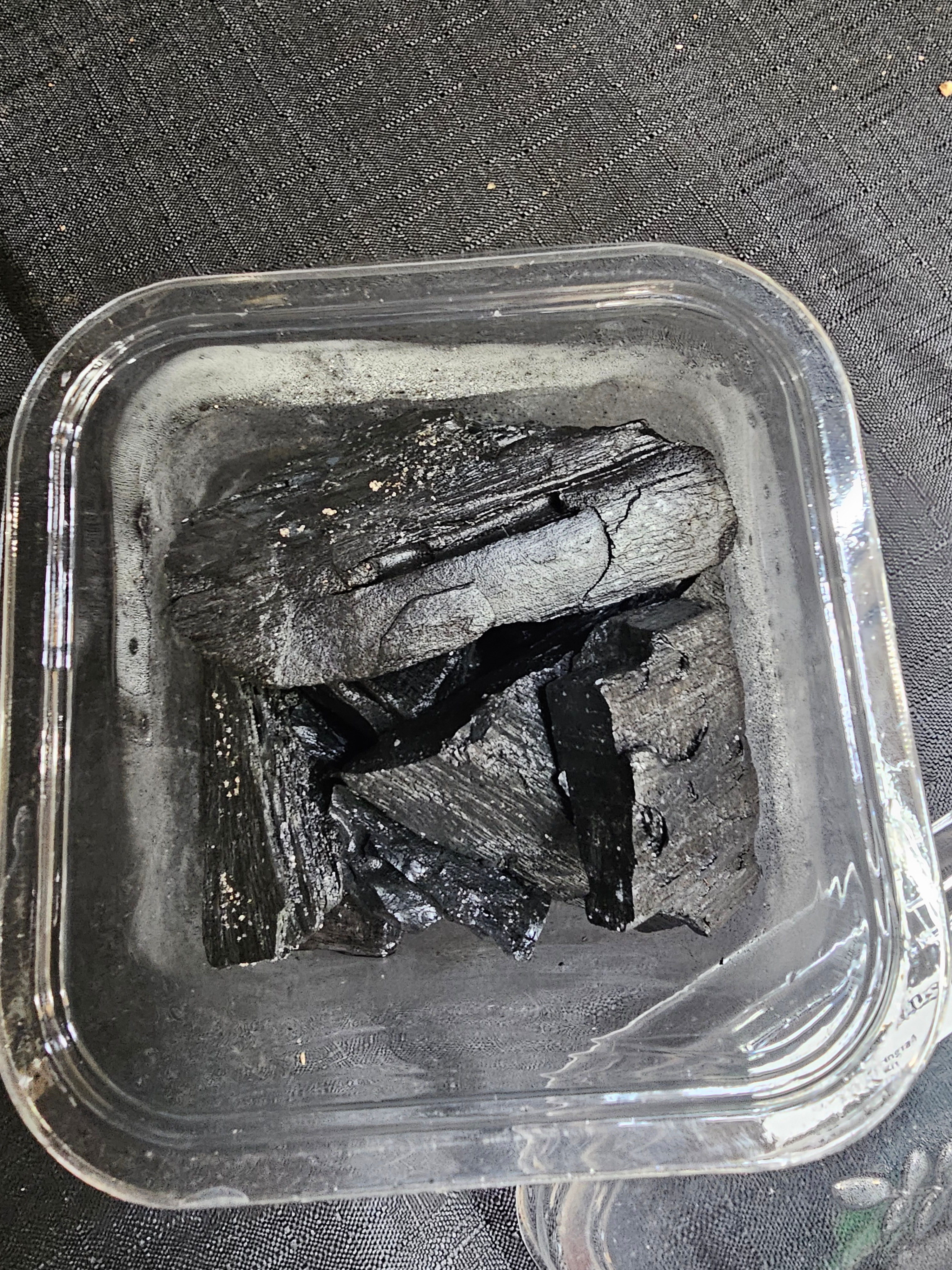 CharCulture - Charcoal Springtail Culture Kit