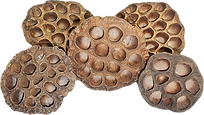 20260212_001622.png
