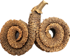 20260212_001225.png