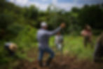 Javier leading volunteers at Finca La Familia in Puerto Rico.