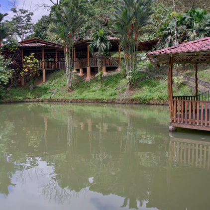 Growing in Harmony with Nature in Costa Rica