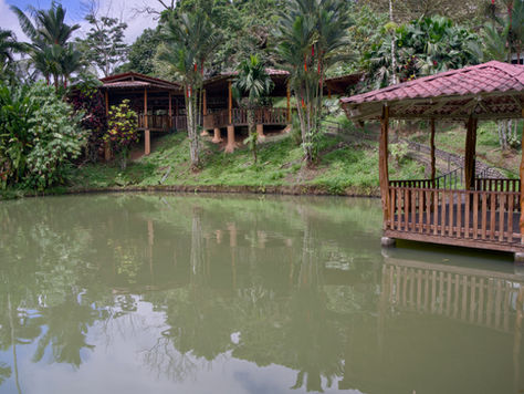 Cultivando en harmonía con la naturaleza en Costa Rica