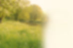 yoga giverny