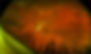 Capture-12_13_12-2.jpg