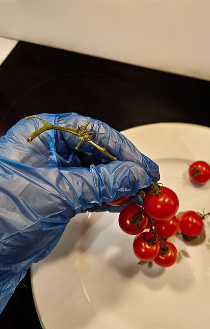 Gloveco gloves being used in kitchen