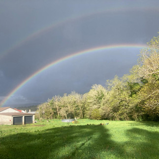 camino magic rainbows