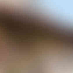 portuguese camino as chivas
