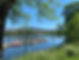 Tui_April_2025.jpeg