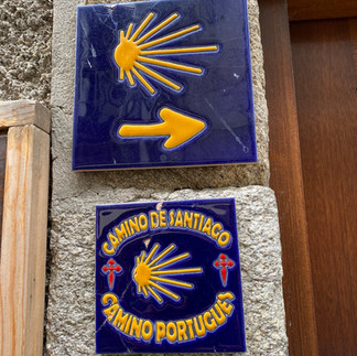 camino de santiago this way