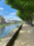 IMG_3189.jpeg