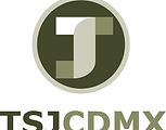 LOGO_TSJCDMX_2.jpg