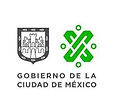cdmx morena net.jpg