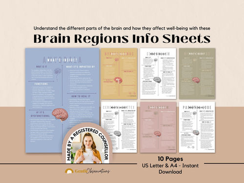 Regions of The Brain