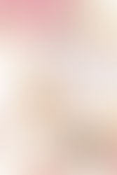 The Gold & Dusty Pink Collection of Styled Stock Photos