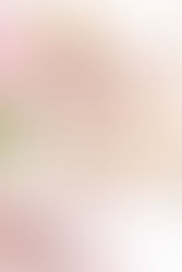 The Gold & Dusty Pink Collection of Styled Stock Photos