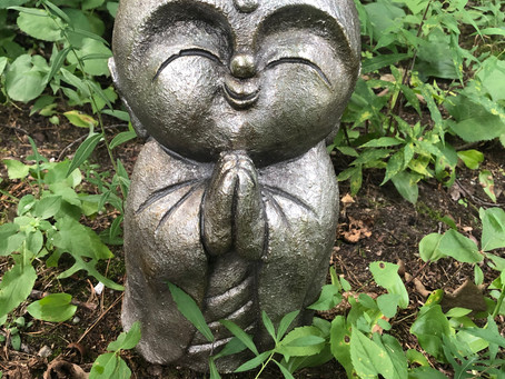 Dharma Not Drama