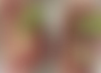 新講座ロースハムの準備