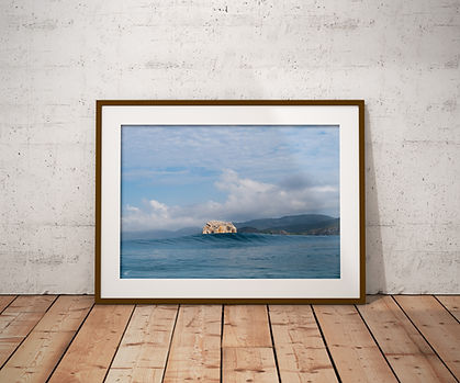 Mockup_Poster_Vertical_3-Recovered.jpg