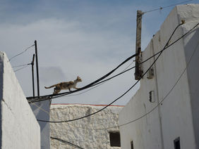 Une définition de la poiésie