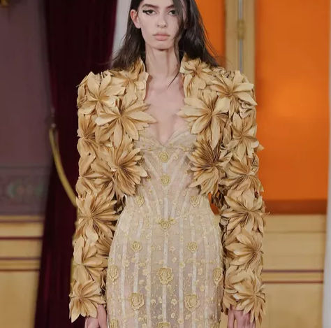 Ardazaei Fashion Show Review: Elegance in Deep Tones