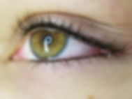 microeye.jpeg