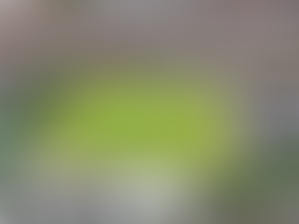 Annual Race Week Tournament