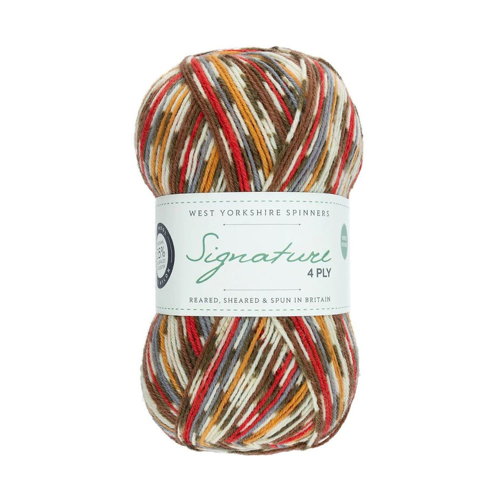 Thumbnail: WYS Signature 4ply Sock Yarn