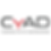Cybersecurity Across Disciplines (CyAD) Summit