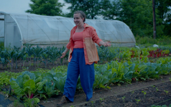 Screen Shot 2024-07-30 at 1.56.49 PM