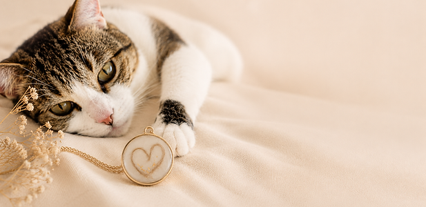 Katze mit Halskette mit Tierhaaren