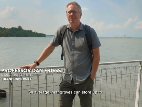Mangrove Lab in new Channel News Asia documentary