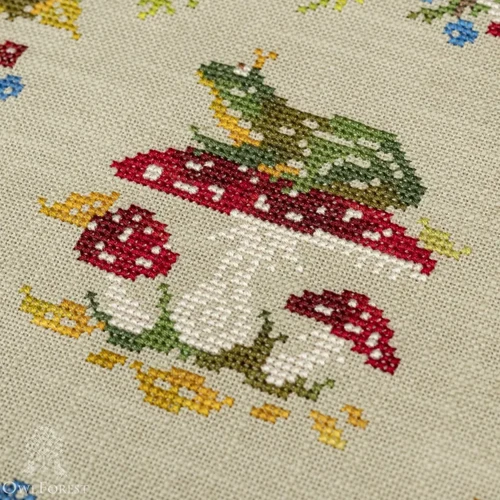 Kit-Toad Summer | spica