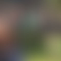 SINDACS-PE participa de mobilização nacional em Brasília-DF