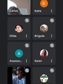 Diretora do SINDACS-PE participa de reunião online