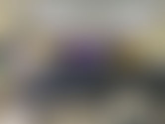 SINDACS-PE acompanha votação e aprovação do Projeto de Lei de Insalubridade em Rio Formoso