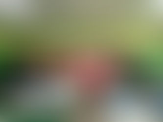 13 de janeiro de 2024