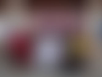 SINDACS-PE realiza 1º Simpósio Estadual Etapa Região Mata Sul