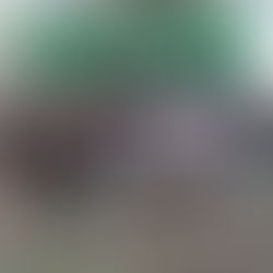 SINDACS PE esteve presente no município de Porção/PE