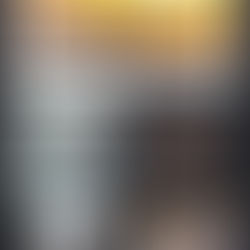 Diretora do SINDACS PE esteve em reunião com o GT da Conferência Municipal de Saúde do Recife