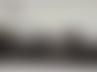 SINDACS-PE MARCA PRESENÇA NA CÂMARA MUNICIPAL DE CARPINA