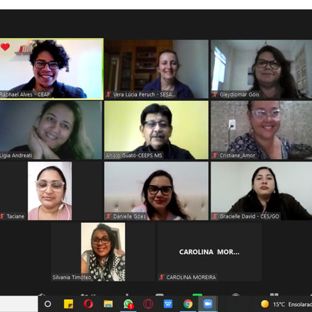 Diretora do SINDACS PE participa dos cursos virtuais para Conselheiros de Saúde e Ativistas do SUS