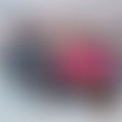 SINDACS PE participa de seminário do Sindmetal sobre Racismo Ambiental